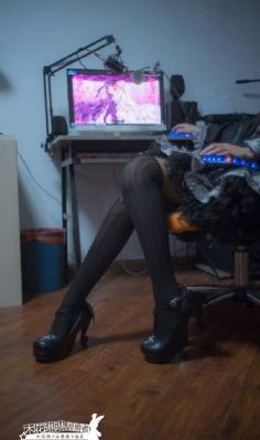 以爱为营电视剧在线观看免费版